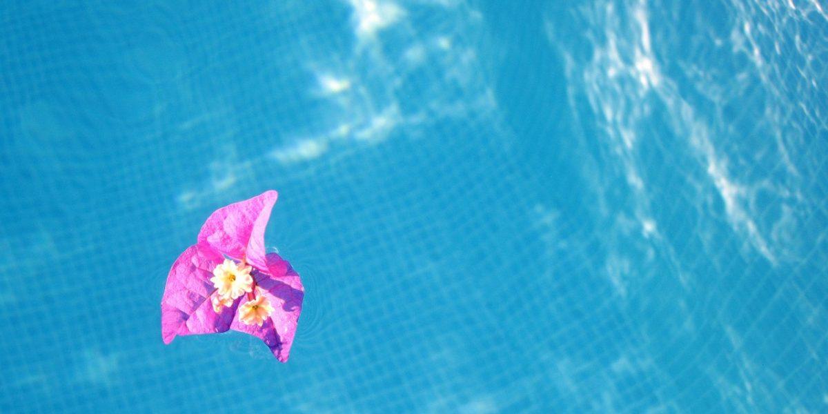Flor que se encuentra flotando en el agua de una piscina